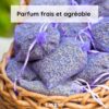 15 Sachets de Lavande – Origine Provence - Image 6