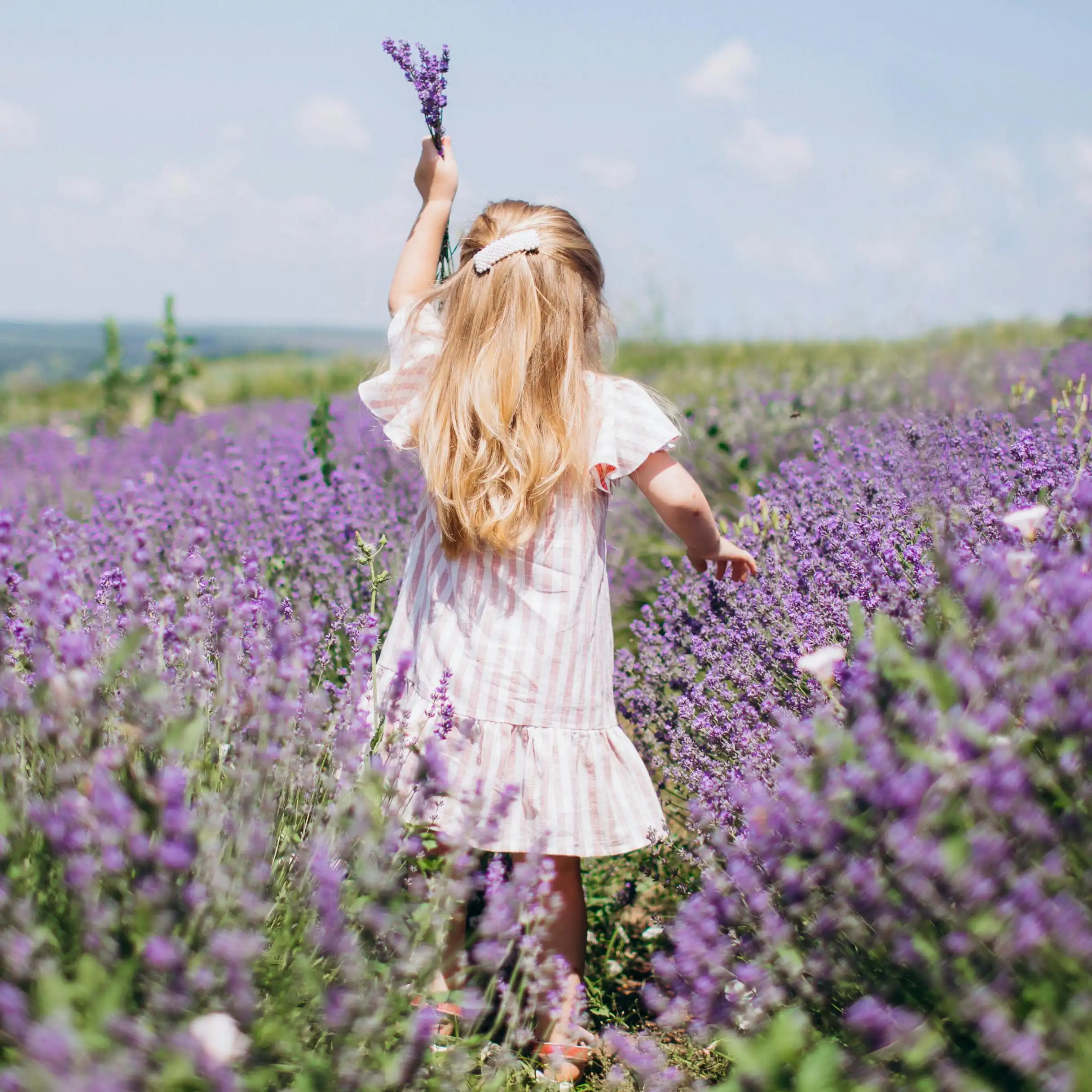 202507_Girl_lavender