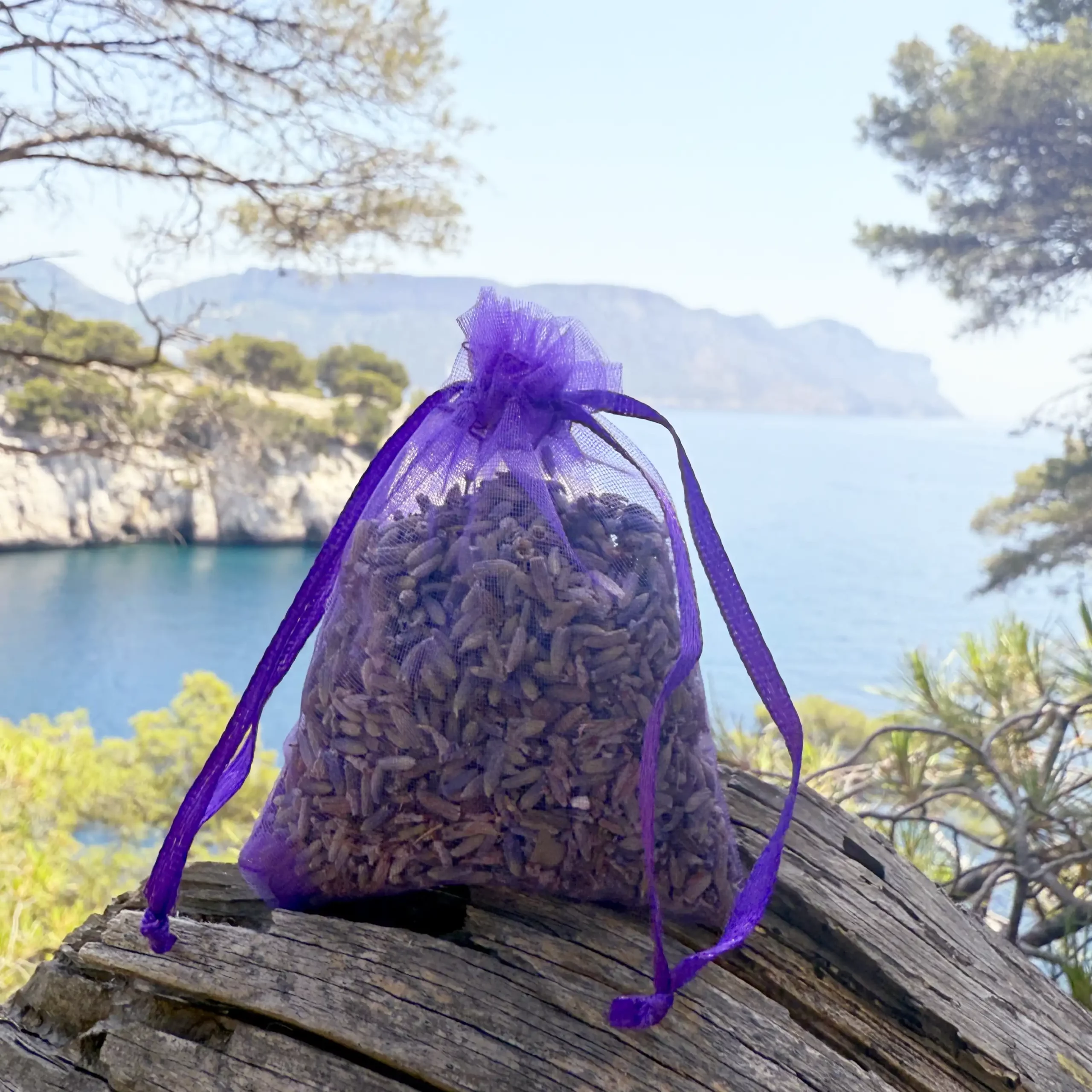 202507_Lavender_Calanque
