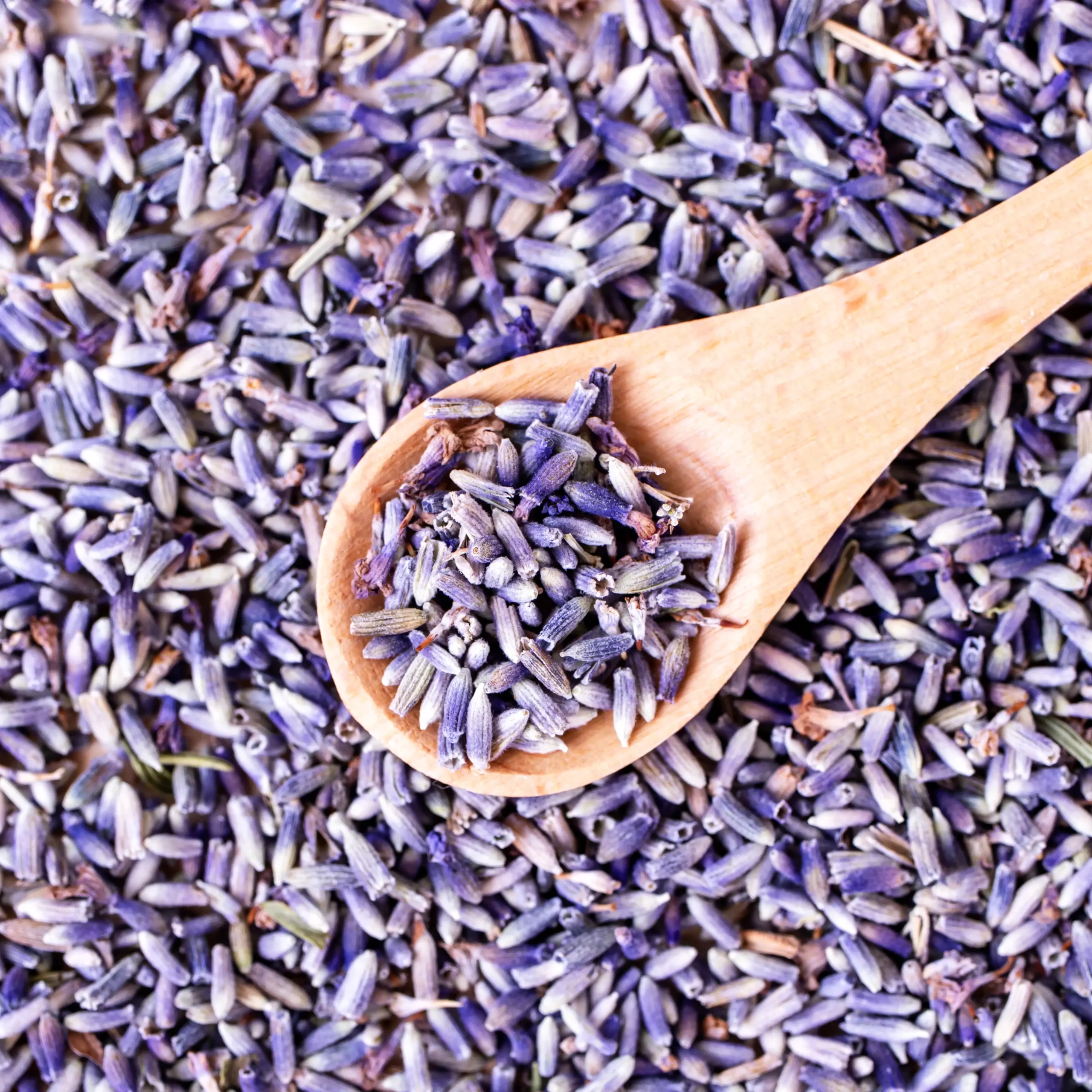 Lavender_vrac